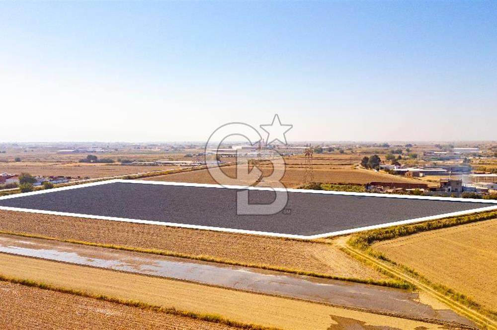 Menemen Ulukent Ovasında Satılık 16.050m2 Tarla