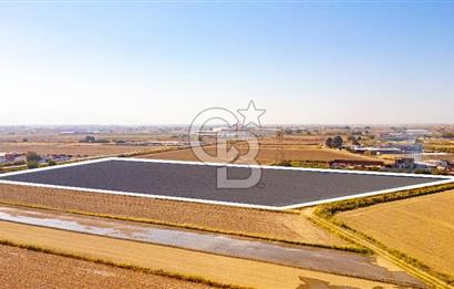 Menemen Ulukent Ovasında Satılık 16.050m2 Tarla