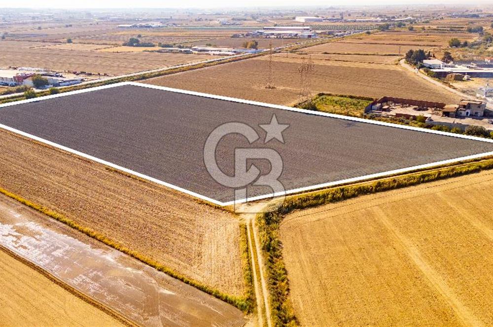 Menemen Ulukent Ovasında Satılık 16.050m2 Tarla