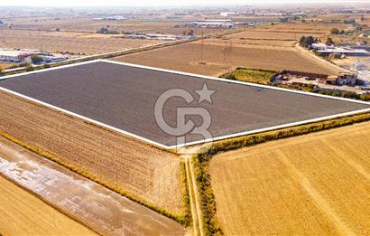 Menemen Ulukent Ovasında Satılık 16.050m2 Tarla