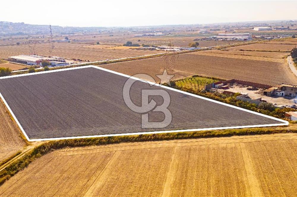 Menemen Ulukent Ovasında Satılık 16.050m2 Tarla