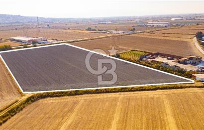 Menemen Ulukent Ovasında Satılık 16.050m2 Tarla
