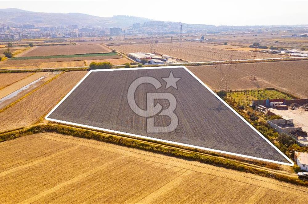 Menemen Ulukent Ovasında Satılık 16.050m2 Tarla