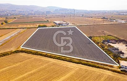 Menemen Ulukent Ovasında Satılık 16.050m2 Tarla