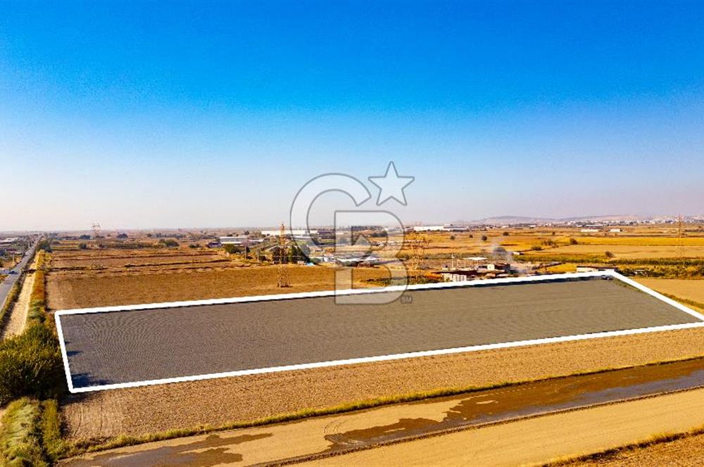 Menemen Ulukent Ovasında Satılık 16.050m2 Tarla