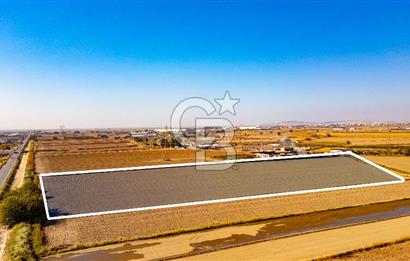 Menemen Ulukent Ovasında Satılık 16.050m2 Tarla