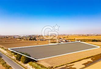 Menemen Ulukent Ovasında Satılık 16.050m2 Tarla