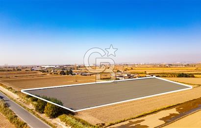 Menemen Ulukent Ovasında Satılık 16.050m2 Tarla