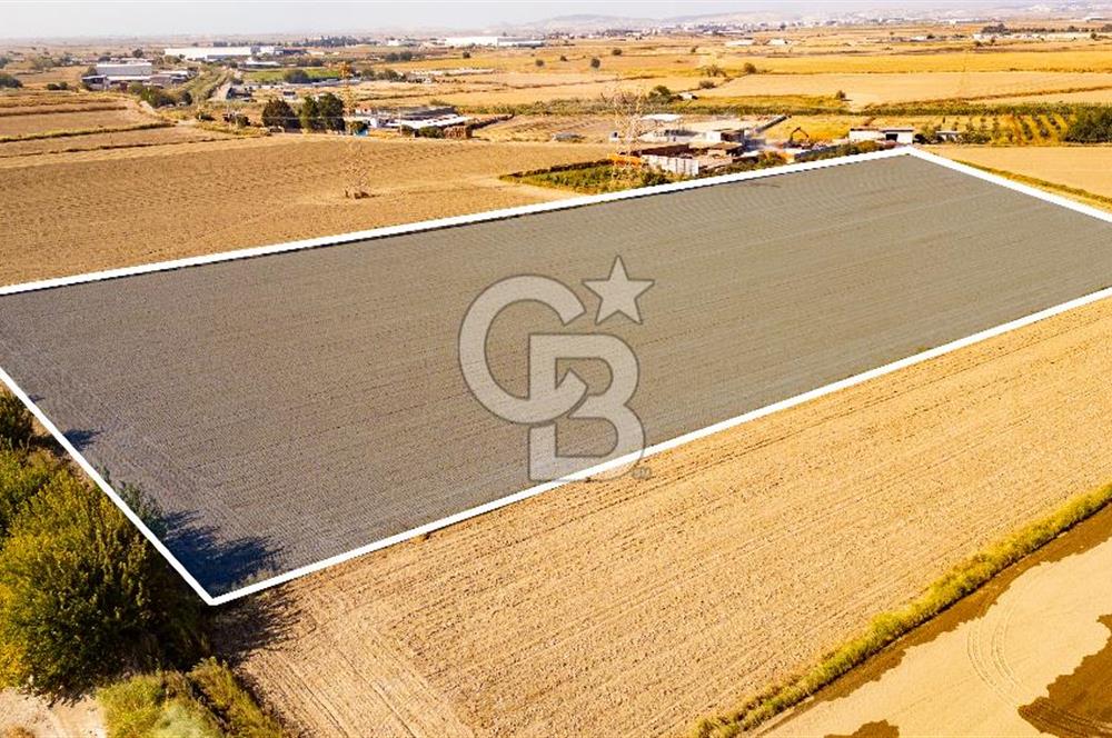 Menemen Ulukent Ovasında Satılık 16.050m2 Tarla