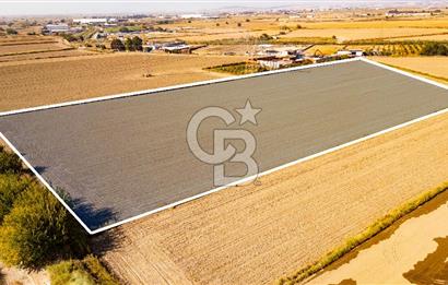 Menemen Ulukent Ovasında Satılık 16.050m2 Tarla