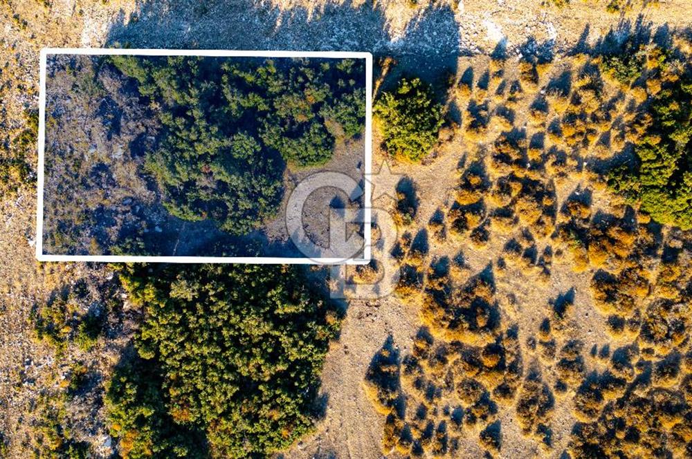 Menemen Seyrek Villakentte Satılık Villa Arsası