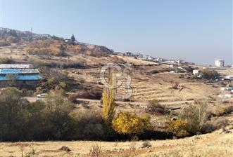 COLDWELL BANKER SAFİR'den GEDİK te 6378 m2 SATILIK BAHÇE