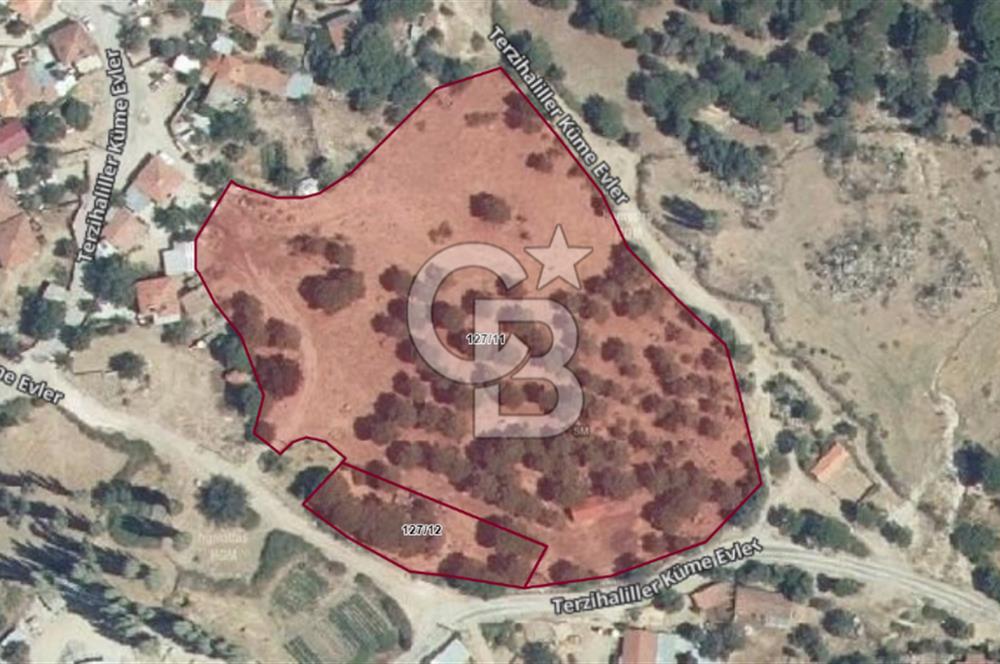 İzmir Bergama Terzihaliller Köyü'nde6.500m² Hisseli Tarla vBahçe