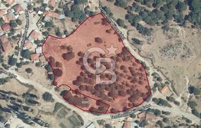 İzmir Bergama Terzihaliller Köyü'nde6.500m² Hisseli Tarla vBahçe