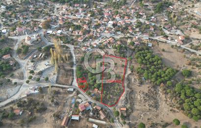 İzmir Bergama Terzihaliller Köyü'nde6.500m² Hisseli Tarla vBahçe