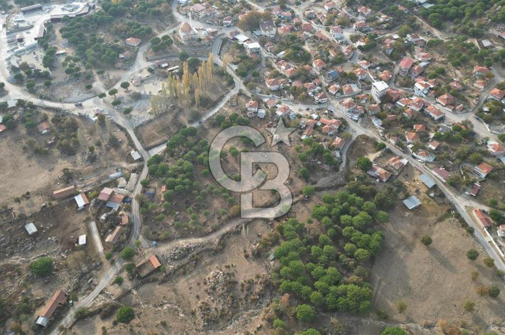 İzmir Bergama Terzihaliller Köyü'nde6.500m² Hisseli Tarla vBahçe