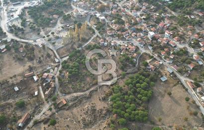 İzmir Bergama Terzihaliller Köyü'nde6.500m² Hisseli Tarla vBahçe