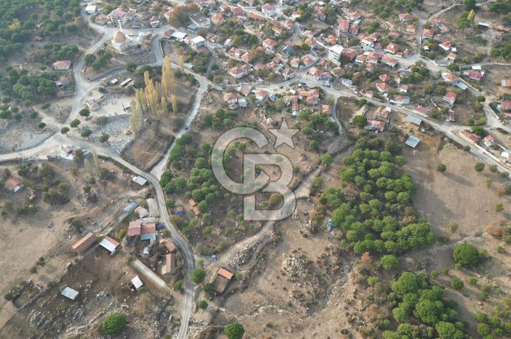 İzmir Bergama Terzihaliller Köyü'nde6.500m² Hisseli Tarla vBahçe