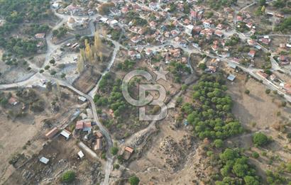 İzmir Bergama Terzihaliller Köyü'nde6.500m² Hisseli Tarla vBahçe