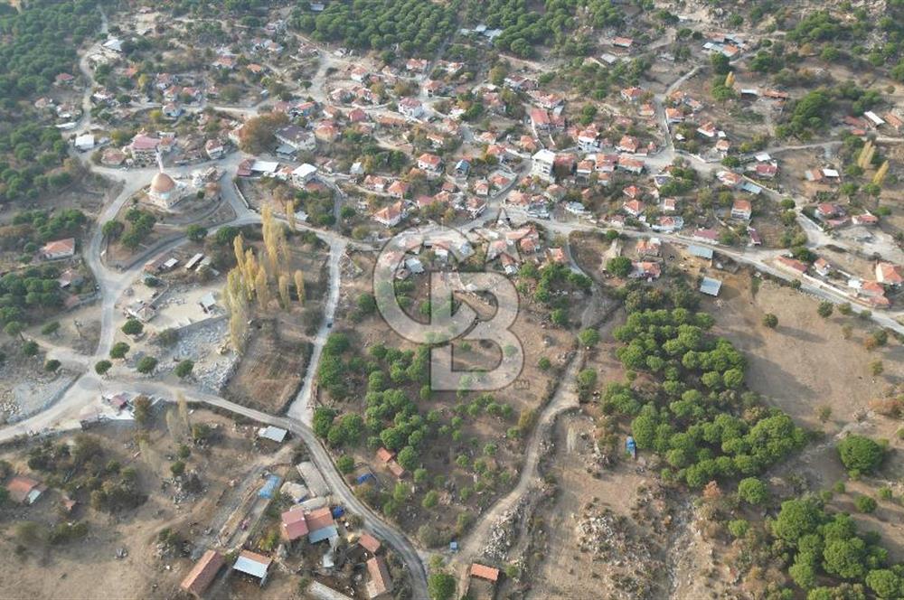 İzmir Bergama Terzihaliller Köyü'nde6.500m² Hisseli Tarla vBahçe
