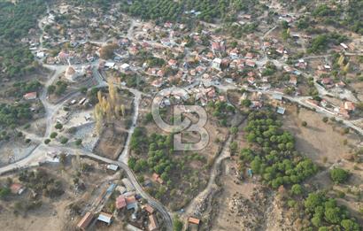 İzmir Bergama Terzihaliller Köyü'nde6.500m² Hisseli Tarla vBahçe