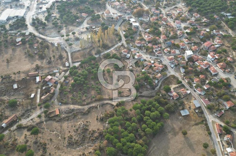 İzmir Bergama Terzihaliller Köyü'nde6.500m² Hisseli Tarla vBahçe