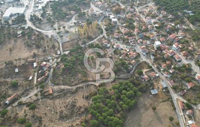 İzmir Bergama Terzihaliller Köyü'nde6.500m² Hisseli Tarla vBahçe