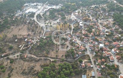 İzmir Bergama Terzihaliller Köyü'nde6.500m² Hisseli Tarla vBahçe