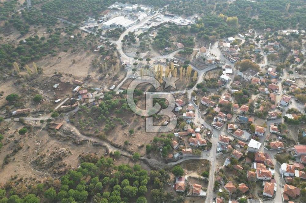 İzmir Bergama Terzihaliller Köyü'nde6.500m² Hisseli Tarla vBahçe