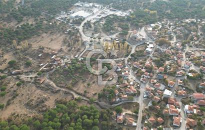 İzmir Bergama Terzihaliller Köyü'nde6.500m² Hisseli Tarla vBahçe