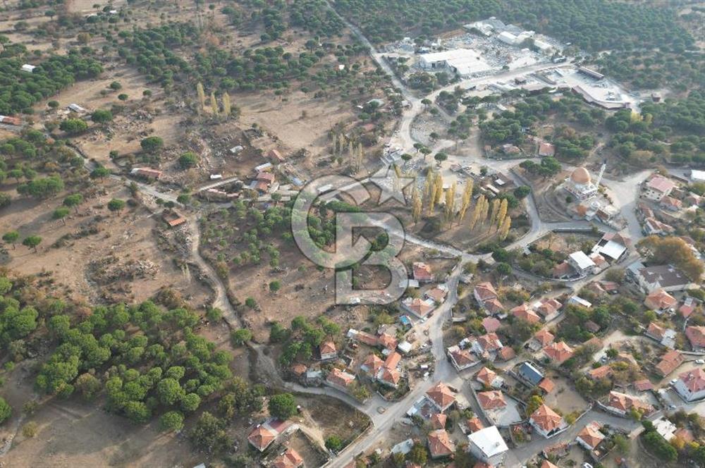 İzmir Bergama Terzihaliller Köyü'nde6.500m² Hisseli Tarla vBahçe