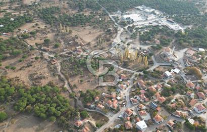 İzmir Bergama Terzihaliller Köyü'nde6.500m² Hisseli Tarla vBahçe