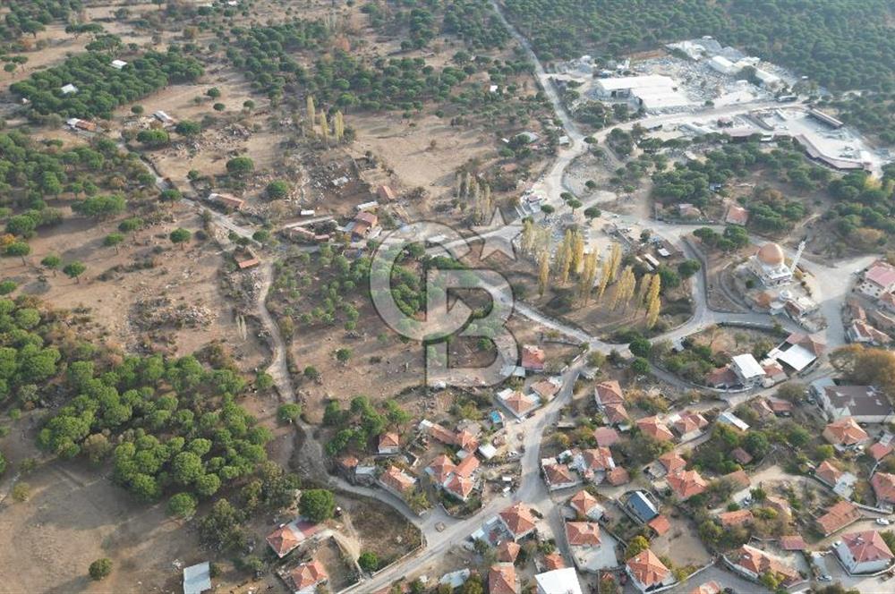 İzmir Bergama Terzihaliller Köyü'nde6.500m² Hisseli Tarla vBahçe