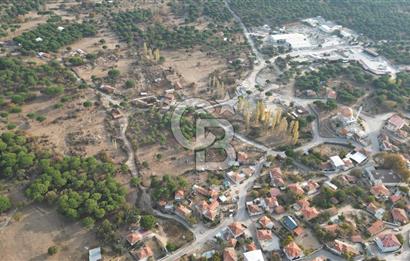 İzmir Bergama Terzihaliller Köyü'nde6.500m² Hisseli Tarla vBahçe