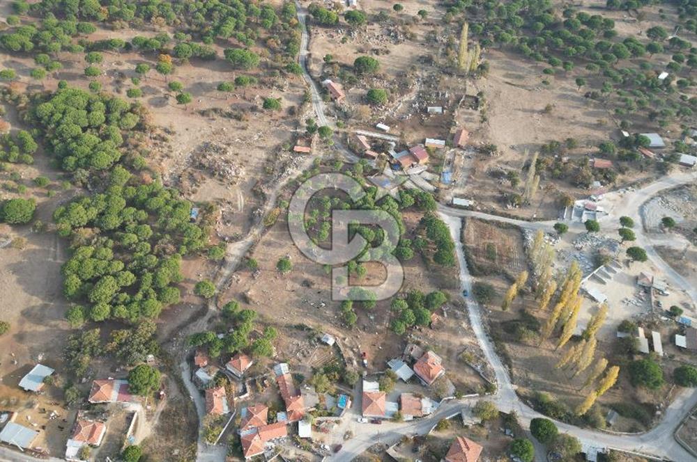 İzmir Bergama Terzihaliller Köyü'nde6.500m² Hisseli Tarla vBahçe