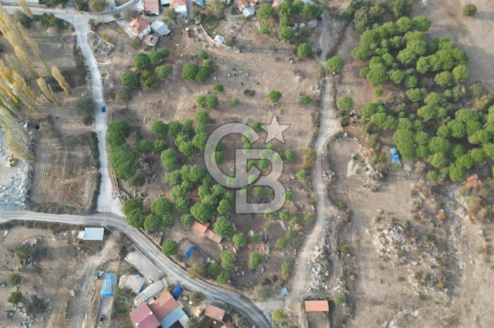 İzmir Bergama Terzihaliller Köyü'nde6.500m² Hisseli Tarla vBahçe
