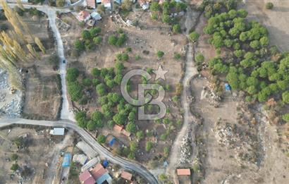 İzmir Bergama Terzihaliller Köyü'nde6.500m² Hisseli Tarla vBahçe