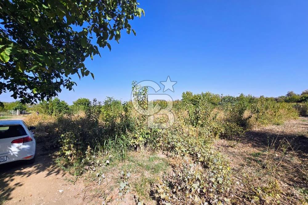 Honaz Menteşe'de 3290 M² Satılık Kiraz Bahçesi 