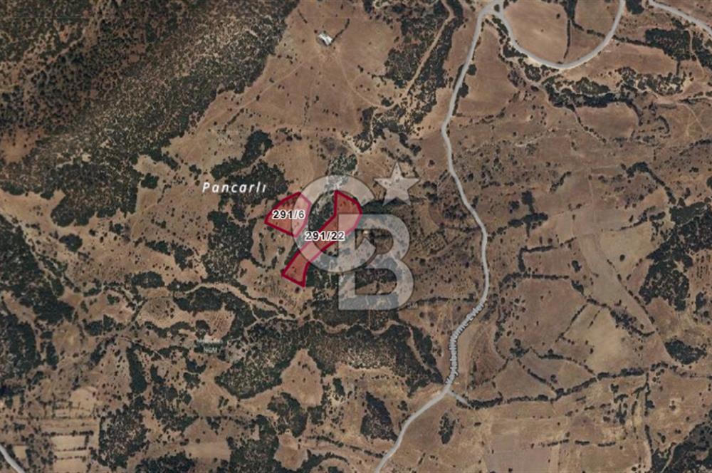 Burdur Yaylabeli Mah. Göl Manzaralı 12.690 M² Satılık Arazi