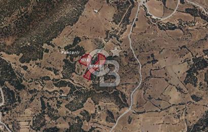 Burdur Yaylabeli Mah. Göl Manzaralı 12.690 M² Satılık Arazi