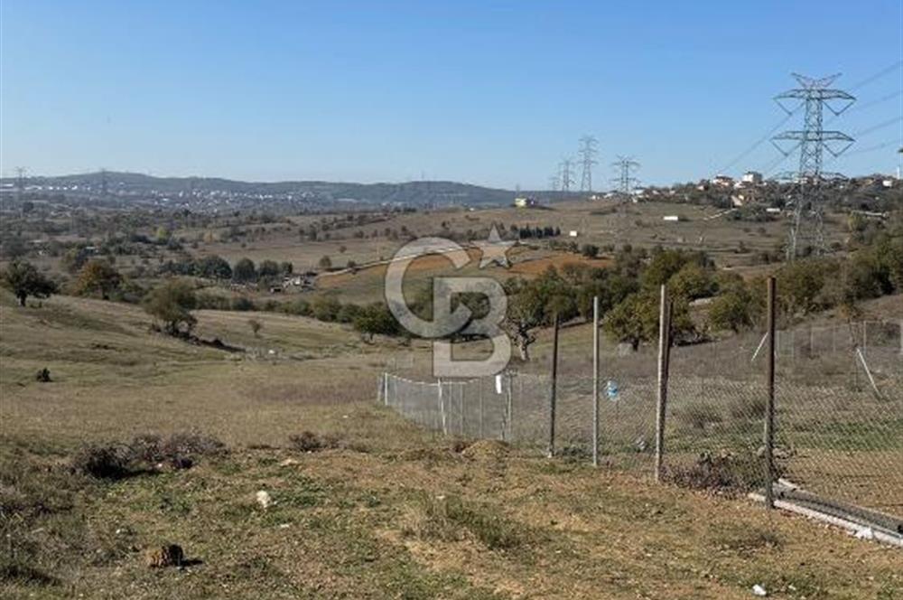 Gebze denizli köyünde satılık 553m2 satılık tarla