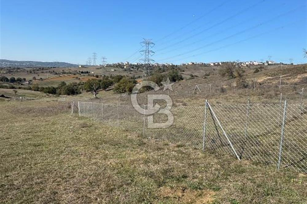 Gebze denizli köyünde satılık 553m2 satılık tarla