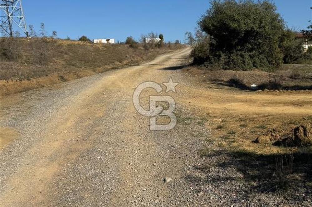 Gebze denizli köyünde satılık 553m2 satılık tarla