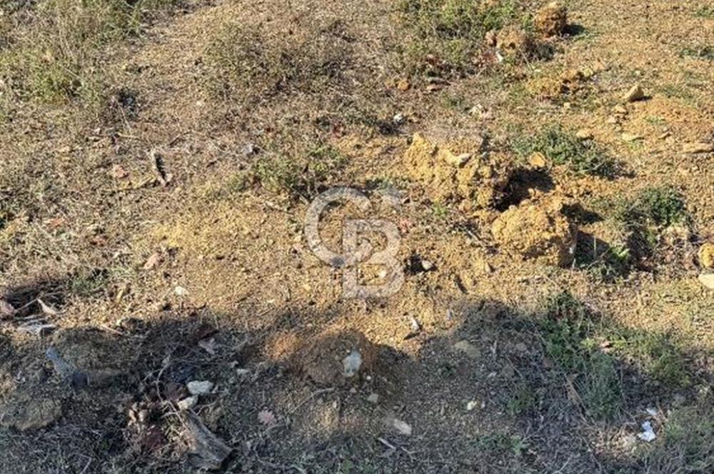 Gebze denizli köyünde satılık 553m2 satılık tarla