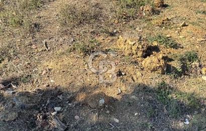 Gebze denizli köyünde satılık 553m2 satılık tarla