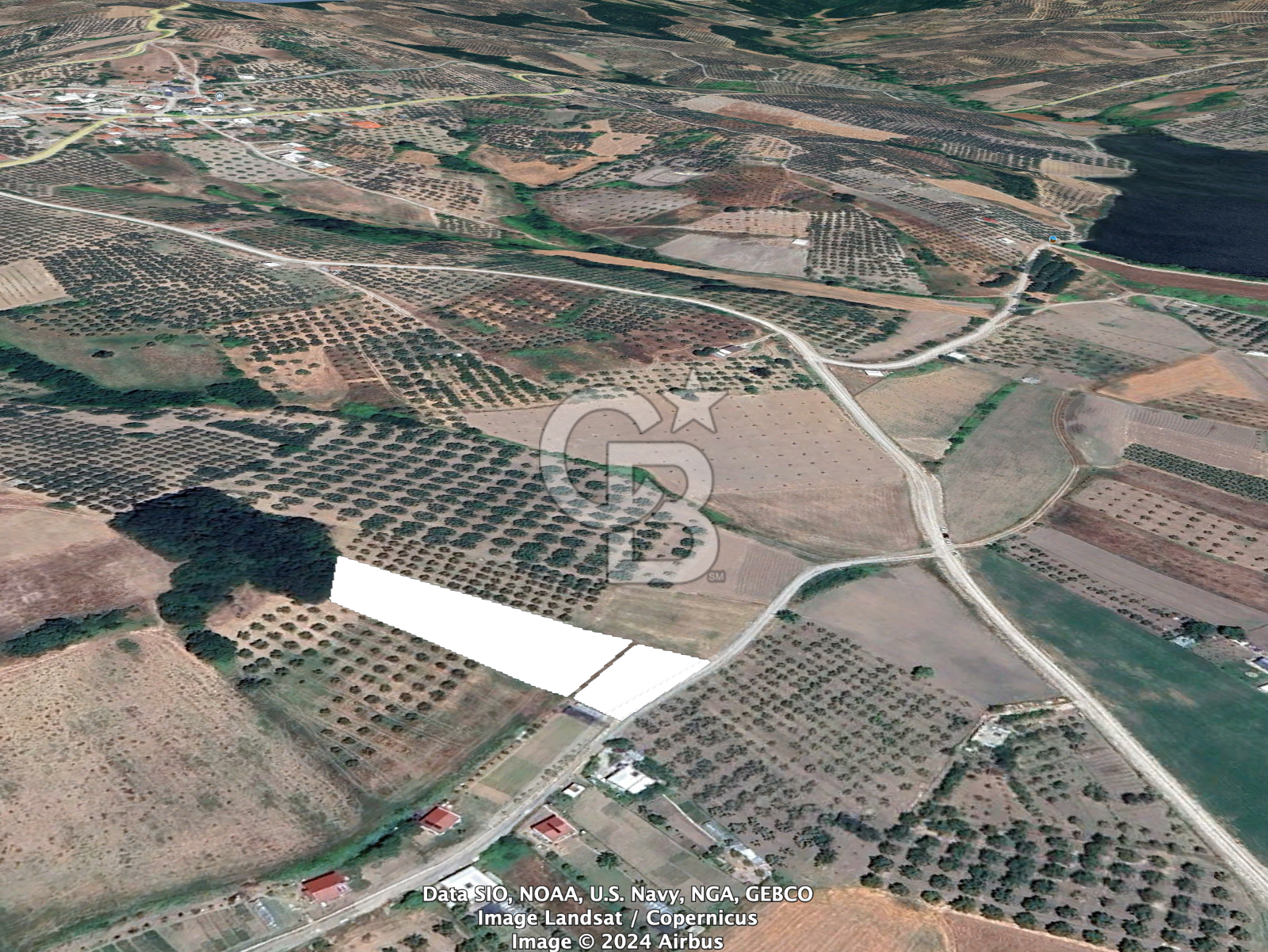 BURSA MUDANYA ÇINARLI'DA YOLA CEPHE GÖLE YAKIN TARLA