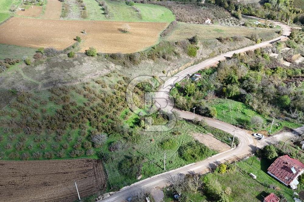 CB TAN-ZEYTİNBURNU KÖYÜ SATILIK 2159M² KÖŞE PARSEL ARSA