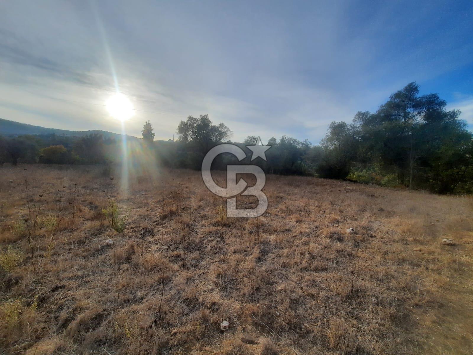 KARACAHİSAR KÖYÜNDE YOLA CEPHE TARIM ARAZİSİ