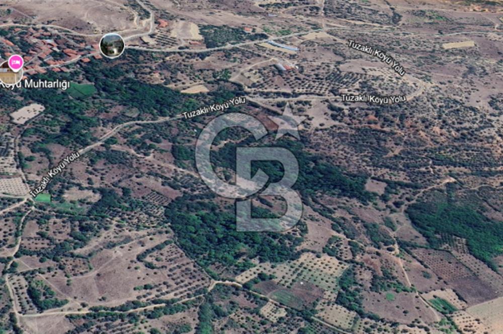SÖĞÜT TUZAKLI'DA SATILIK 7.836 M2 TARLA TEK TAPU 