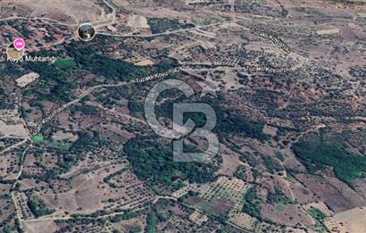 SÖĞÜT TUZAKLI'DA SATILIK 7.836 M2 TARLA TEK TAPU 